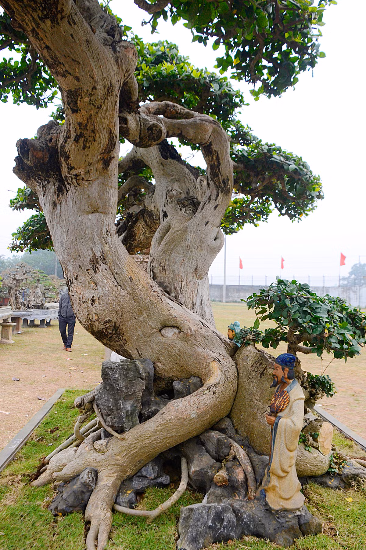 Thân pháp hay đường chạy của thân chính vừa uyển chuyển, linh hoạt theo nhiều hướng khác nhau.