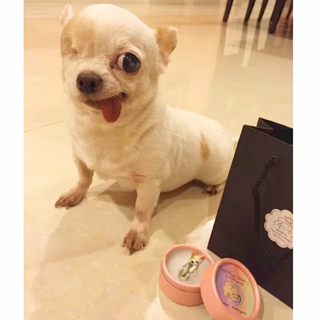 Yogurt khoe ảnh được một cửa hàng trang sức tặng chiếc nhẫn xinh xắn giống hệt hình ảnh của cô nàng.