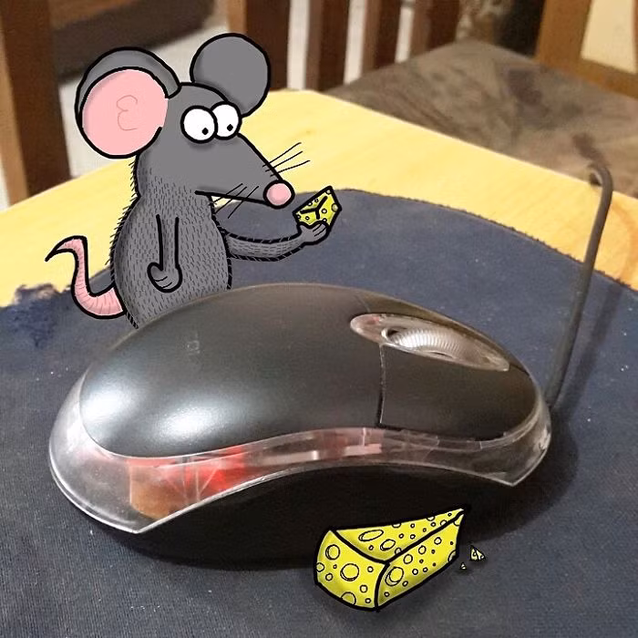 Khi chuột gặp "chuột".