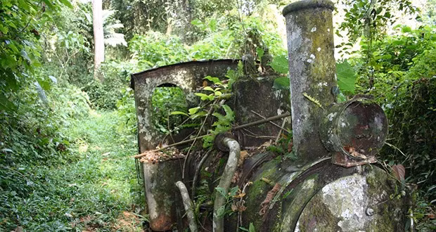 Đầm lầy Darien Gap, Panama. Đây là một đầm lầy vô cùng đáng sợ, chia tách Trung và Nam Mỹ. Nơi đây bất cứ loài thực vật nào cũng có thể giết chết bạn, côn trùng cũng có thể giết chết bạn và nếu bạn nghĩ rằng bạn có thể tránh được sự nguy hiểm từ hệ sinh thái nơi đây, vẫn còn có những người nổi dậy có thể bắt cóc bạn. Đây thực sự là một trong những nơi nguy hiểm nhất đối với con người trên trái đất.