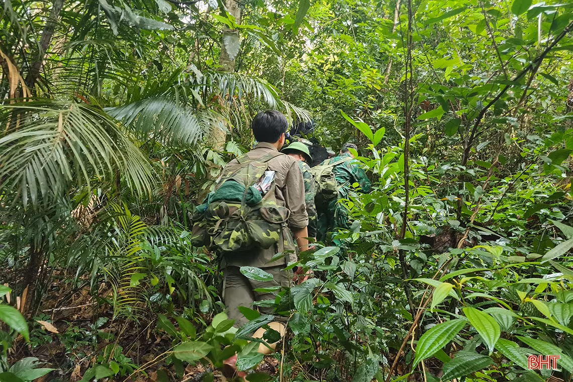 Chỉ sau một cung đường ngắn, rừng già đã bắt đầu thử thách các thành viên đoàn công tác... 