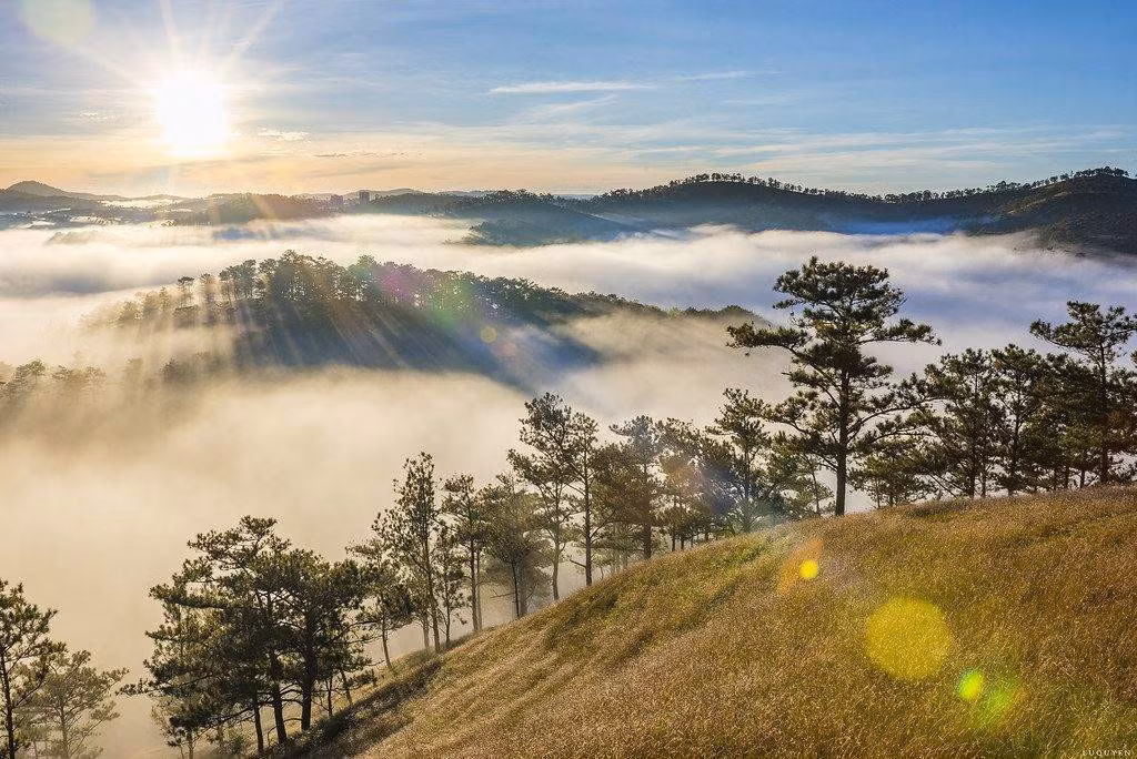 Đà Lạt, Đà Nẵng, Tam Đảo lọt top những điểm đến thanh bình Da Lat, Da Nang, Tam Dao lot top nhung diem den thanh binh