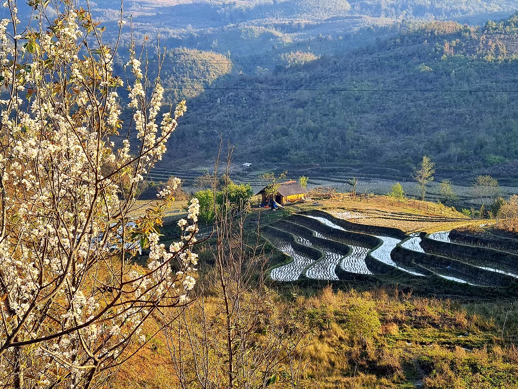 Khám phá vùng núi biên giới phía Bắc - Y Tý, Lào Cai, bạn không chỉ có thể ngắm hoa sơn tra đẹp mê mẩn mà còn có thể thăm bản Ngải Thầu.