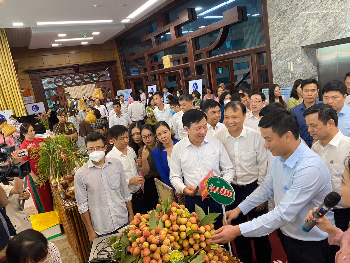 Hai Duong: Day manh xuc tien tieu thu vai thieu, nguoi dan phan khoi...“duoc mua, duoc gia“