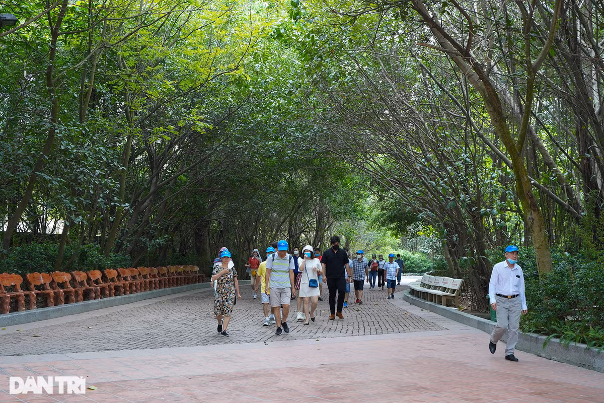 Can canh bai coc Cao Quy: Chung tich lich su tren song Bach Dang-Hinh-9