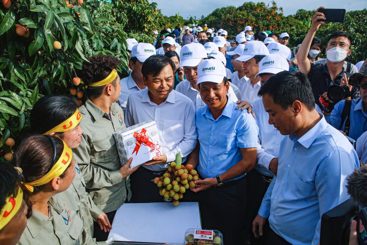 Hai Duong: Day manh xuc tien tieu thu vai thieu, nguoi dan phan khoi...“duoc mua, duoc gia“-Hinh-4