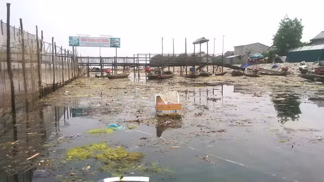 Một số hộ dân địa phương đã lấn chiếm diện tích mặt nước gần bờ, vây lưới nuôi trồng thủy sản khiến rác thải ứ đọng lại trên khu đầm.