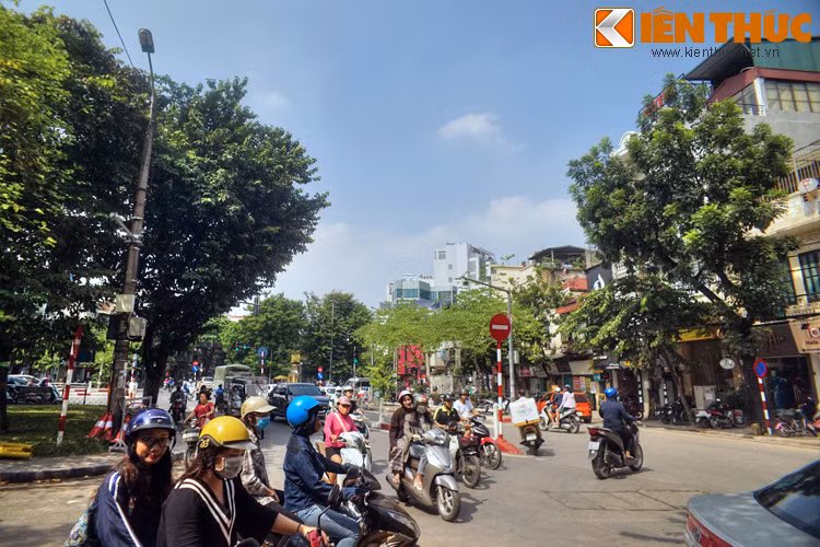 Cuối cùng là Hàng Bông Thợ Nhuộm, gọi tắt là Hàng Bông Nhuộm, là đoạn cuối phố Hàng Bông, chạy dọc vườn hoa Cửa Nam thông ra đường Điện Biên Phủ. Hồi đầu thế kỷ 20, người phố này gốc làng Huê Cầu và Liêu Xá (huyện Yên Mỹ, Hải Hưng) có nghề nhuộm thâm các loại vải lụa.