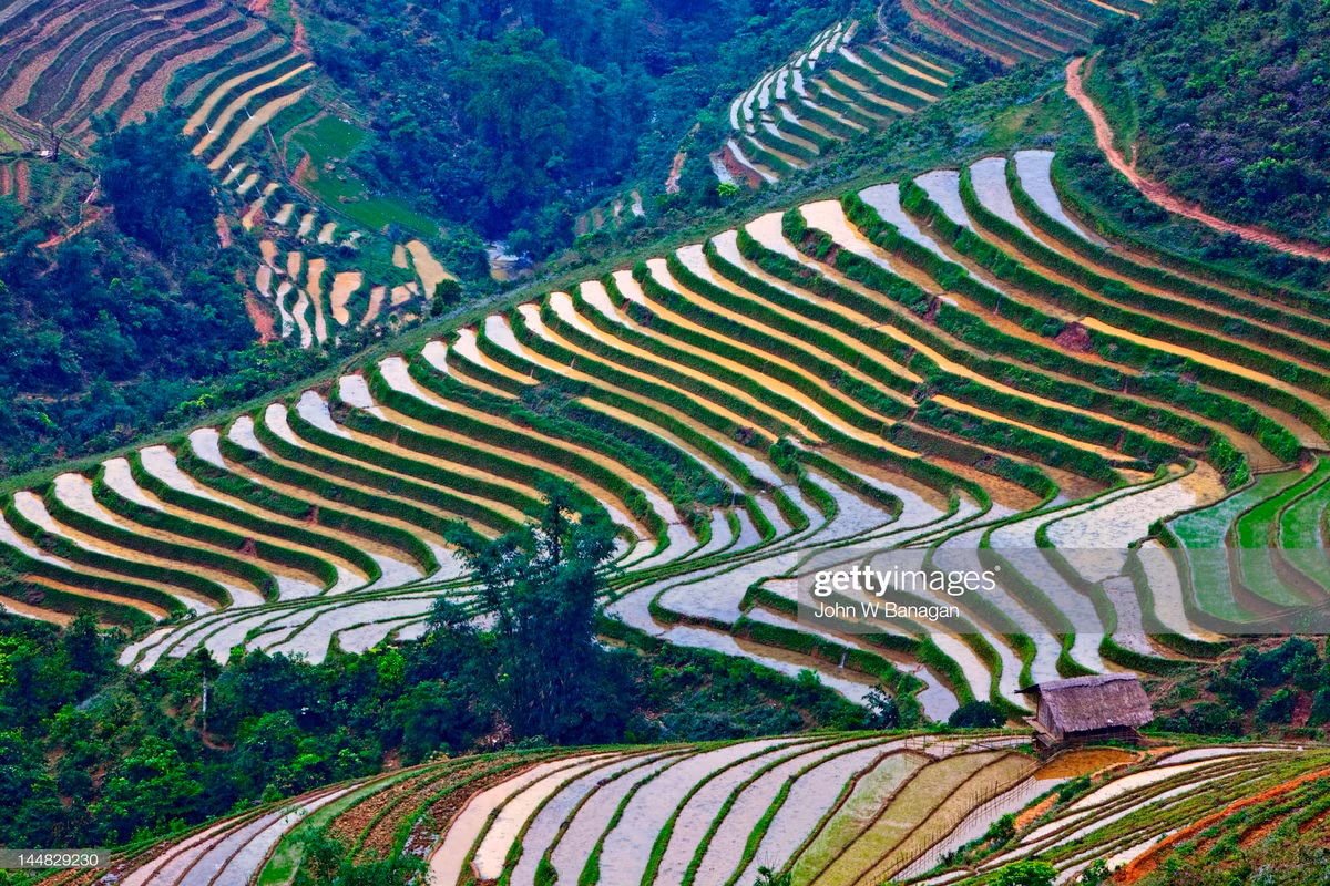 Những thửa ruộng bậc thang trăm tuổi ở Sa Pa. Ảnh: John Banagan/ Getty.