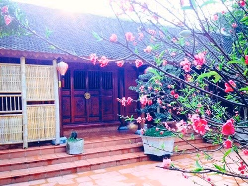 Và thanh tịnh.