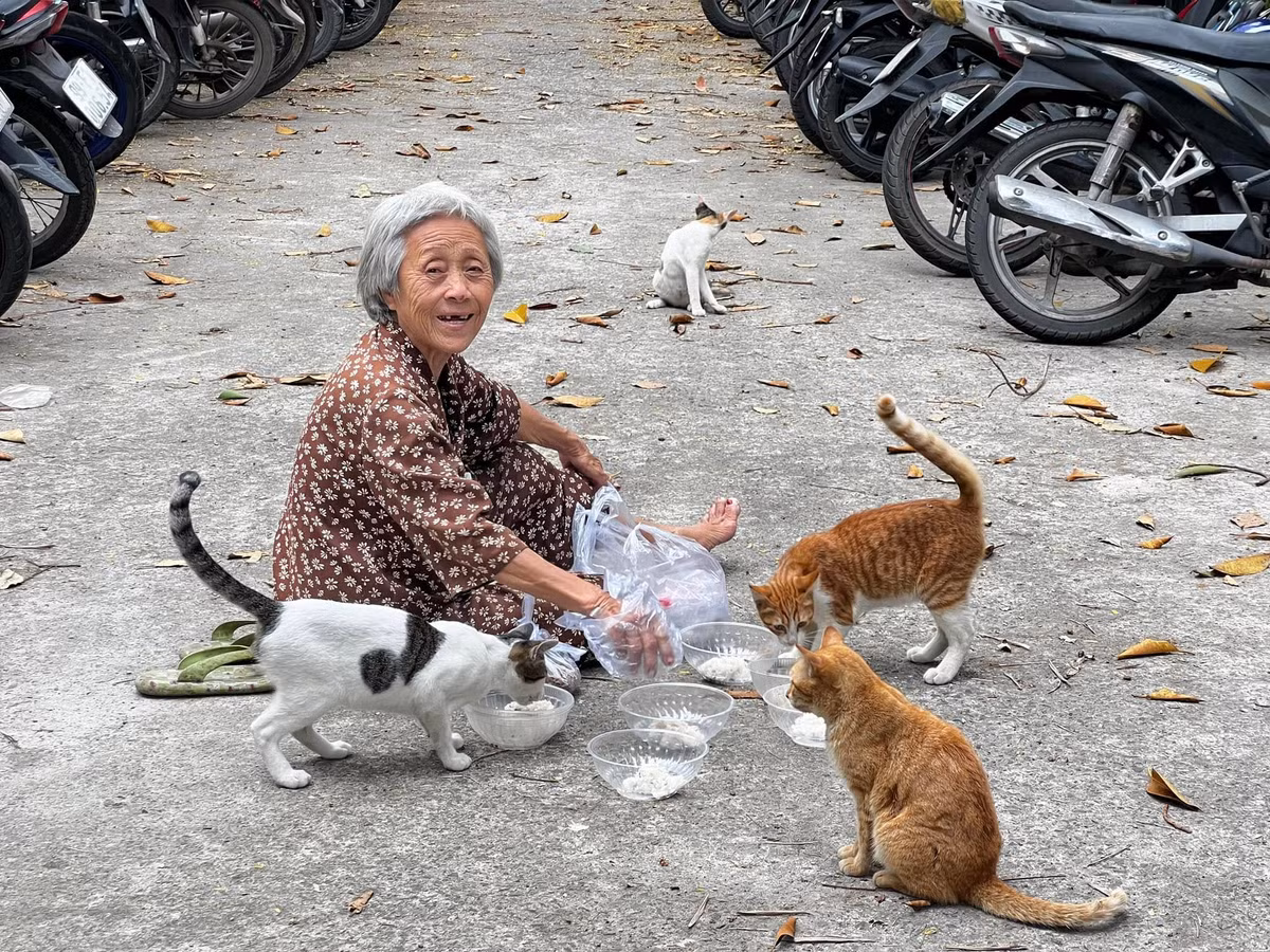 Trước những thông tin sai lệch này, ban quản lý Thảo Cầm Viên đã chính thức lên tiếng phủ nhận và khẳng định đây hoàn toàn là tin đồn thất thiệt.