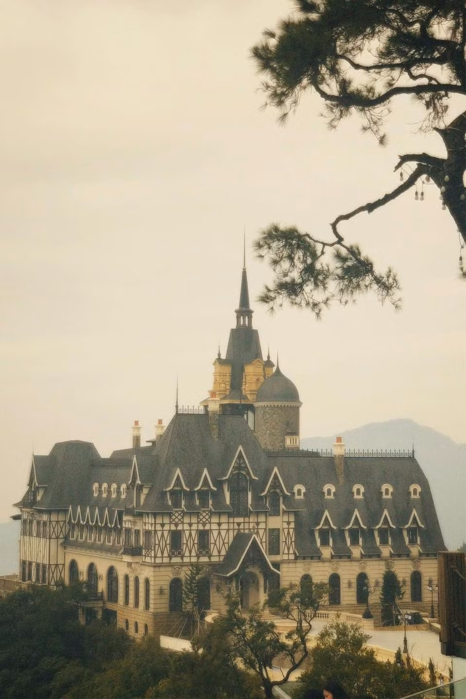 "Nhìn tưởng ra là Hogwarts mở chi nhánh tại Việt Nam", "đã trải nghiệm cảm giác nằm trên giường khách sạn ngắm toà lâu đài lúc ẩn lúc hiện trong làn sương. Kể cũng kỳ diệu phết", "như trong hoạt hình vậy" - cư dân mạng bày tỏ trước khung cảnh của tòa lâu đài.
