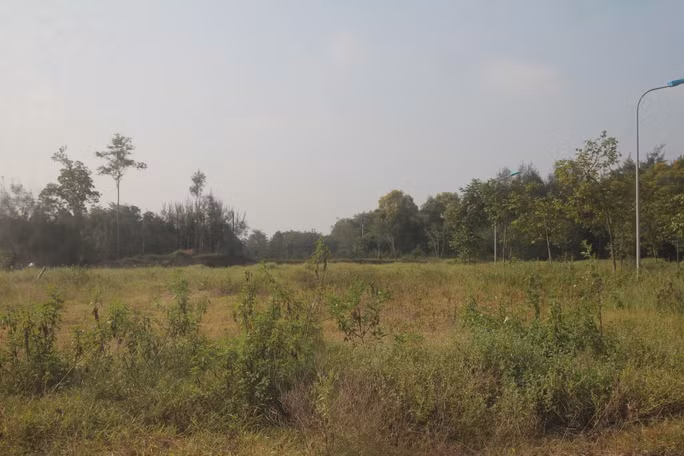 Nhiều hạng mục trong khu dự án vẫn chưa được triển khai, trên các bãi đất trống cỏ dại mọc um tùm. (Ảnh: Người lao động).