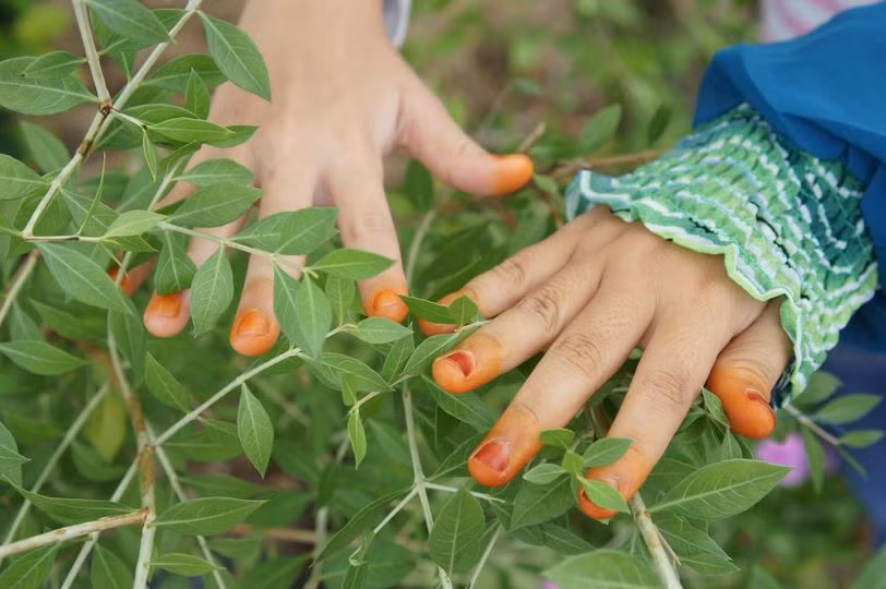 Tục nhuộm móng tay, móng chân không chỉ có ý nghĩa thẩm mỹ mà còn đóng vai trò trừ tà ma, làm cho ma quỷ sợ mà tránh xa trẻ em.