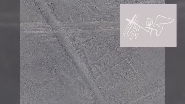 Do có kích thước khổng lồ nên những hình vẽ tại sa mạc Nazca chỉ có thể nhìn thấy rõ từ trên cao.