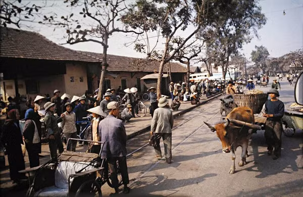 Bến xe Kim Mã đông đúc. Vào những năm 1970, xe đẹp và xích lô là những phương tiện đi lại phổ biến nhất. Ngoài ra, người dân còn sử dụng xe bò kéo để chở hàng hóa cồng kềnh.