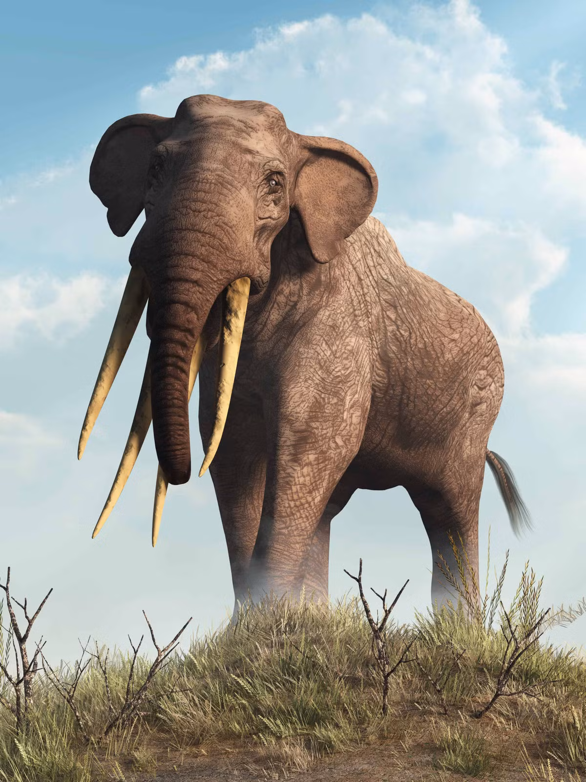 Do voi gomphothere có cơ thể khổng lồ và nguy hiểm nên cần rất nhiều để săn bắt quái thú này.