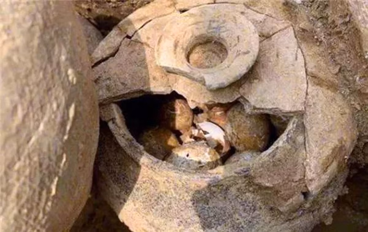 Những người khai quật lăng mộ phải áp dụng biện pháp đặc biệt để khóa tạm thời vi khuẩn bên trong trứng trước khi đưa chúng về phòng nghiên cứu.