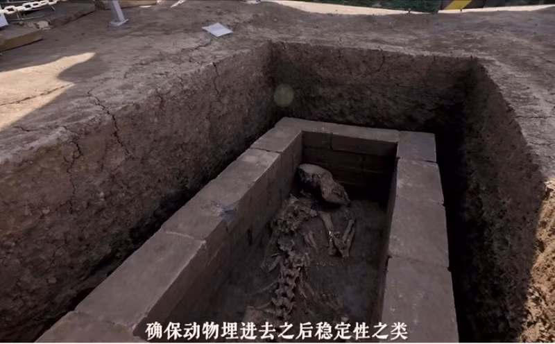 Tuy nhiên, do công trường này vi phạm các quy định và không báo cáo trước trong quá trình thi công, nên mộ cổ của triều đại nhà Minh đã bị phá hủy bởi một chiếc máy xúc. Vụ việc này đã thu hút sự chú ý của cư dân địa phương, tạo ra một cảnh tượng hỗn loạn.