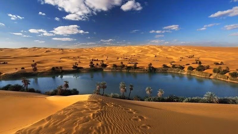 8. Sa mạc Sahara từng là rừng rậm: 6.000 năm trước, Sahara được phủ bởi rừng rậm và đồng cỏ xanh trước khi biến đổi khí hậu biến nó thành sa mạc khô cằn. Đây là một trong những những sự thật về thế giới khó tin đến nỗi chưa ai từng nghĩ đến.