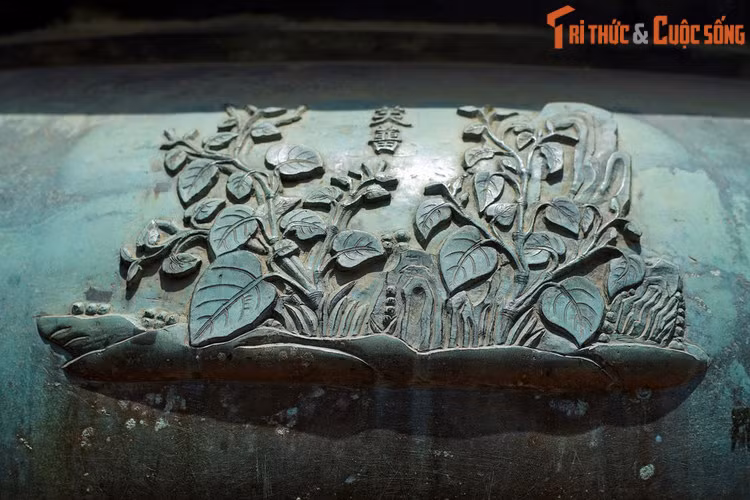 Dụ đỉnh, chiếc đỉnh thứ 8 khắc hình tượng “Phù lưu” là cây trầu, loài cây được trồng lấy lá, gắn bó mật thiết với tục ăn trầu của người Việt, đồng thời cũng là một loại cây thuốc. Trong Đông y, trầu có vị cay, tính ấm, quy vào kinh phế, tỳ, vị.