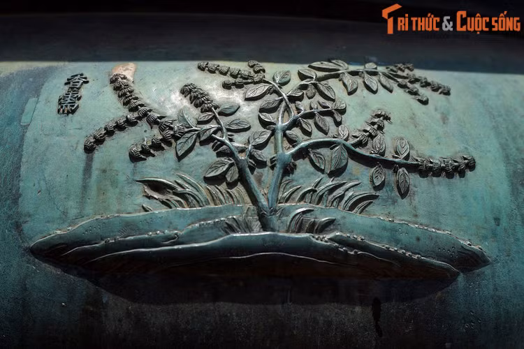 Trên Cao đỉnh, chiếc đỉnh đầu tiên trong Cửu Đỉnh nhà Nguyễn có khắc hình “Trầm hương”, nghĩa là cây trầm hương. Không chỉ cung cấp hương liệu, trầm hương cũng là một dược liệu quý. Theo Đông y, trầm hương có mùi thơm, vị cay, đắng, tính ấm, quy vào kinh thận, tỳ, vị.