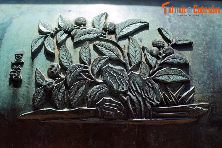 Chương đỉnh, chiếc đỉnh thứ ba khắc hình “Đậu khấu” là cây đậu khấu, loại cây có quả được sử dụng làm thuốc. Trong Đông y, đậu khấu có vị cay tính ấm, quy kinh vào kinh tỳ và vị.