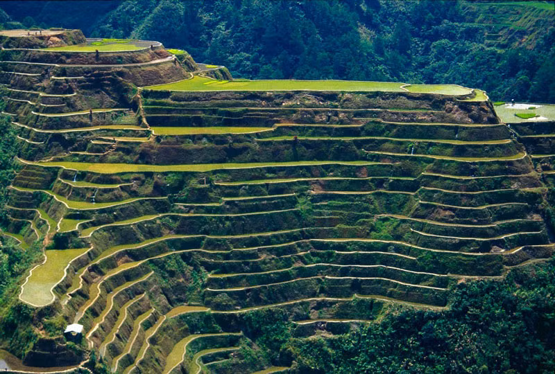 Tất cả các công trình này đều được họ làm thủ công từng giai đoạn.