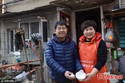 Kinh ngạc khi đập quả trứng gà ra...5 lòng đỏ tí hon - Hình 2 Kinh ngac khi dap qua trung ga ra...5 long do ti hon-Hinh-2
