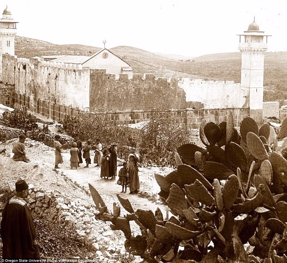 Một nhóm trẻ con tụ tập chơi đùa. Địa hình của Israel có nhiều đồi núi.