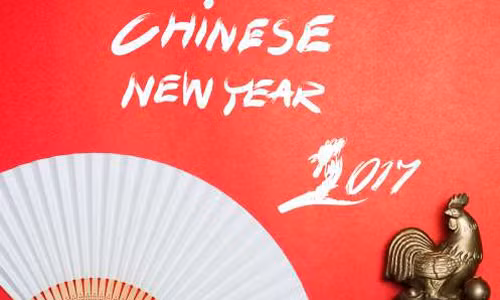 Là người khá quan tâm đến ngoại hình, thích nói thẳng nói thật và khá nghiêm khắc khi xử lý lỗi lầm nên người tuổi Dậu đôi lúc khiến những người xung quanh phật lòng hoặc thậm chí bị tổn thương. Chính vì vậy, một số người đánh giá họ là người lạnh lùng, khó gần.