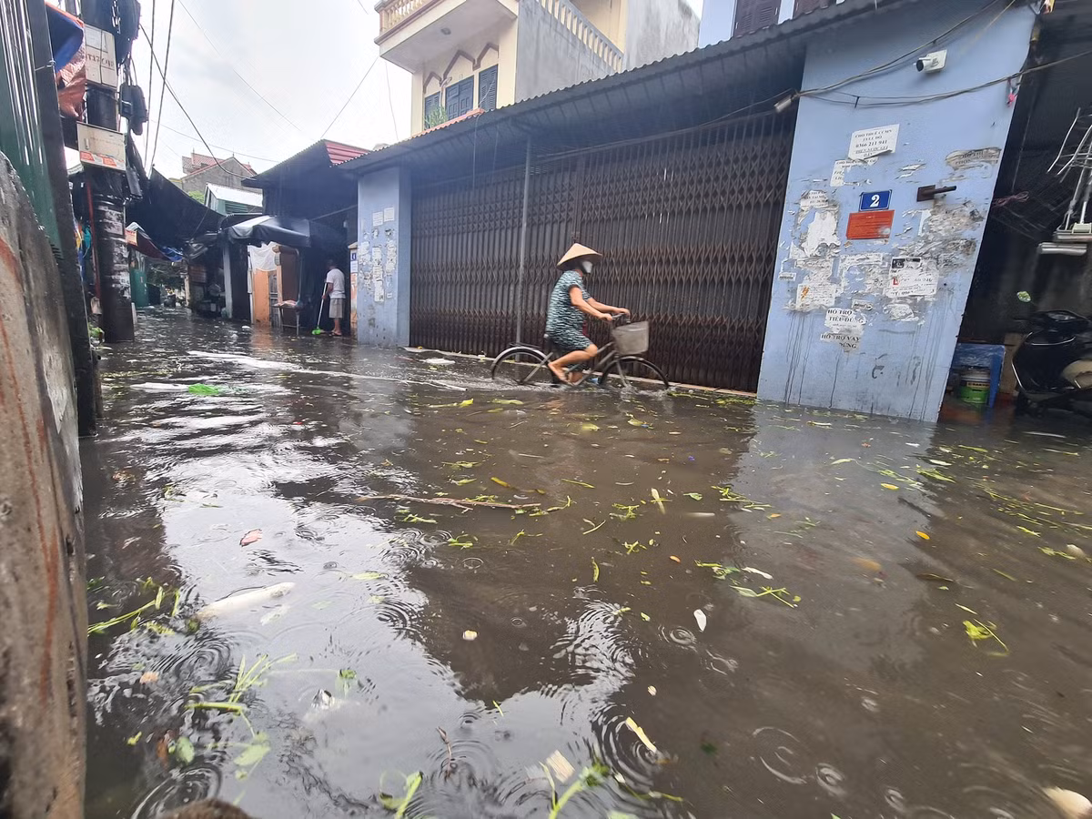 Tại khu vực Mễ Trì, mưa ngập lên tới nửa bánh xe đạp.