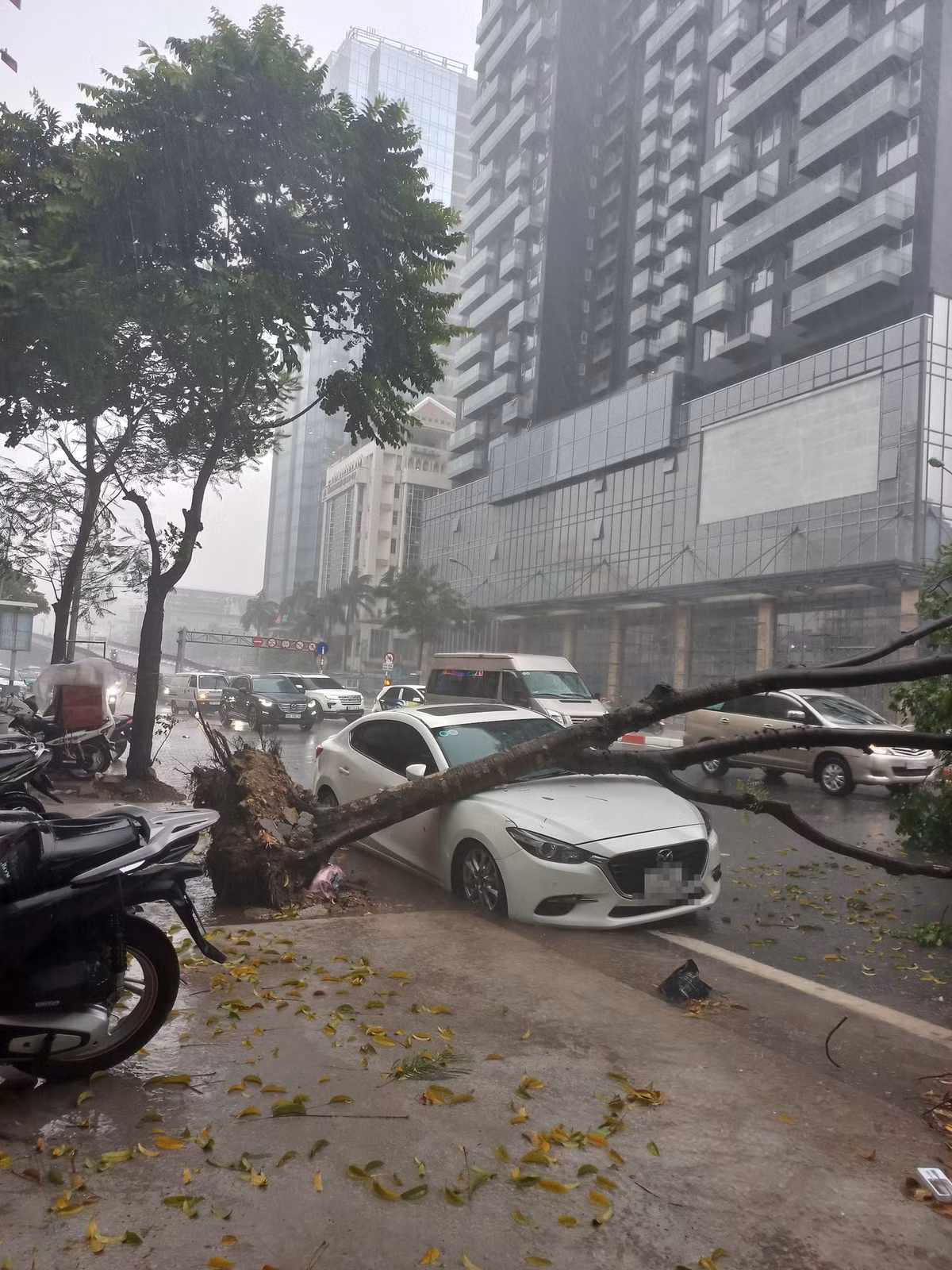 Cây đổ bật chơ gốc đè lên chiếc ô tô đang đỗ ven đường ở khu vực Láng Hạ.