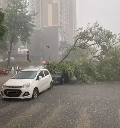 Chiếc xe này bị móp đầu.