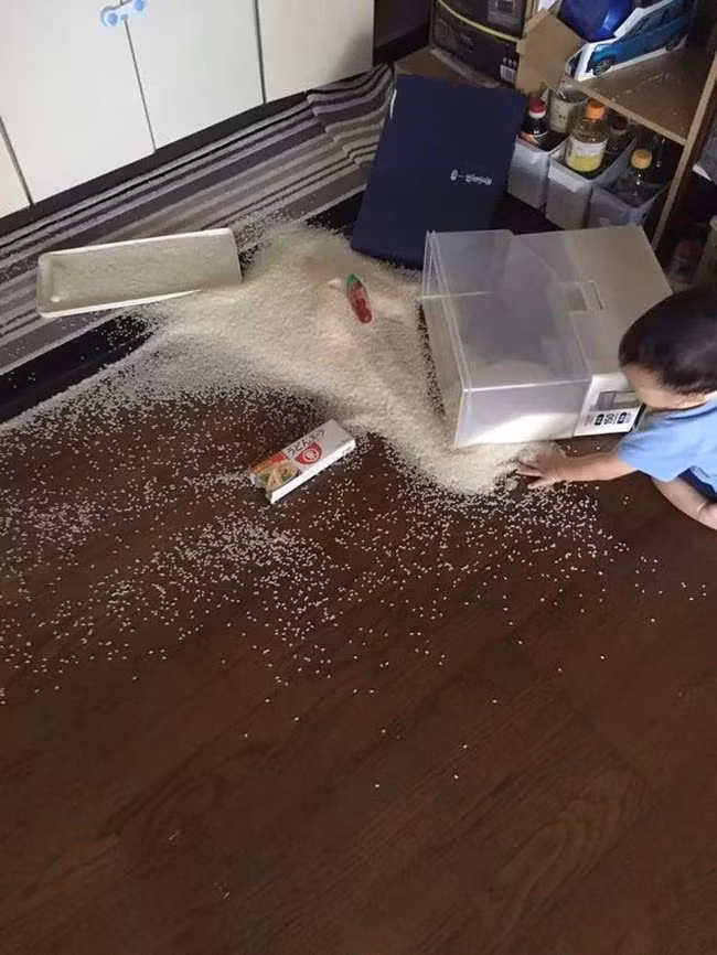 Có vẻ như ngồi trên đống gạo sẽ giống như ngồi trên bãi cát mịn chăng?