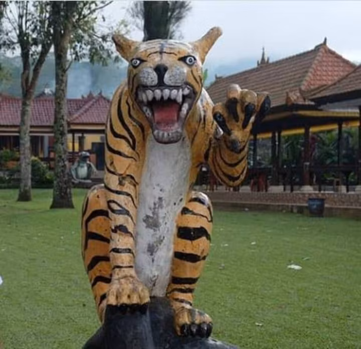 Linh vật năm Nhâm Dần này có biểu cảm khá hài hước, khác xa với nhiều người tưởng tượng.