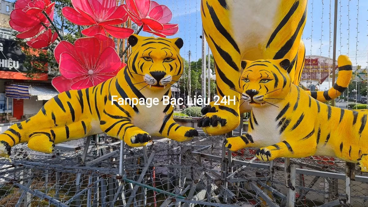 Nhiều người cho rằng "ông Dần" năm vừa qua gặp dịch nên mặt có vẻ "không quạu không chịu được". Ảnh: Fanpage Bạc Liêu 24h