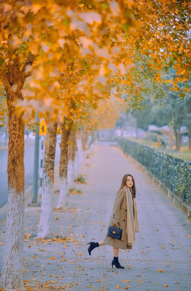 Dịp cuối tuần này là thời điểm lý tưởng để giới trẻ Hà thành tranh thủ ghi lại khoảnh khắc đẹp như Hàn Quốc trước thềm năm mới.
