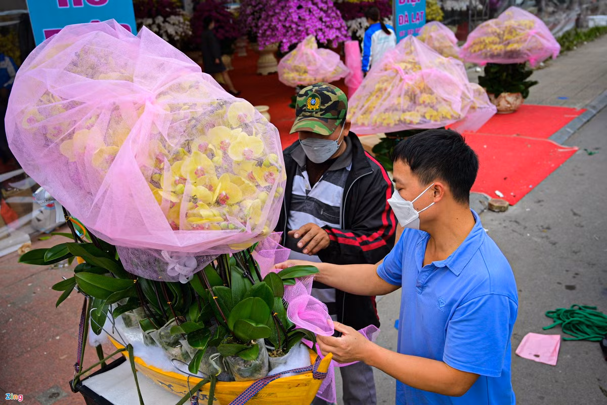 Khung cảnh tấp nập vận chuyển trong những ngày đầu mở bán. Hoa được bảo quản cẩn thận bằng cách bọc túi lưới, phần chậu được cố định bởi dây thừng đảm bảo quá trình vận chuyển an toàn. Xe máy được sử dụng để vận chuyển cho những khách hàng trong khu vực nội đô.