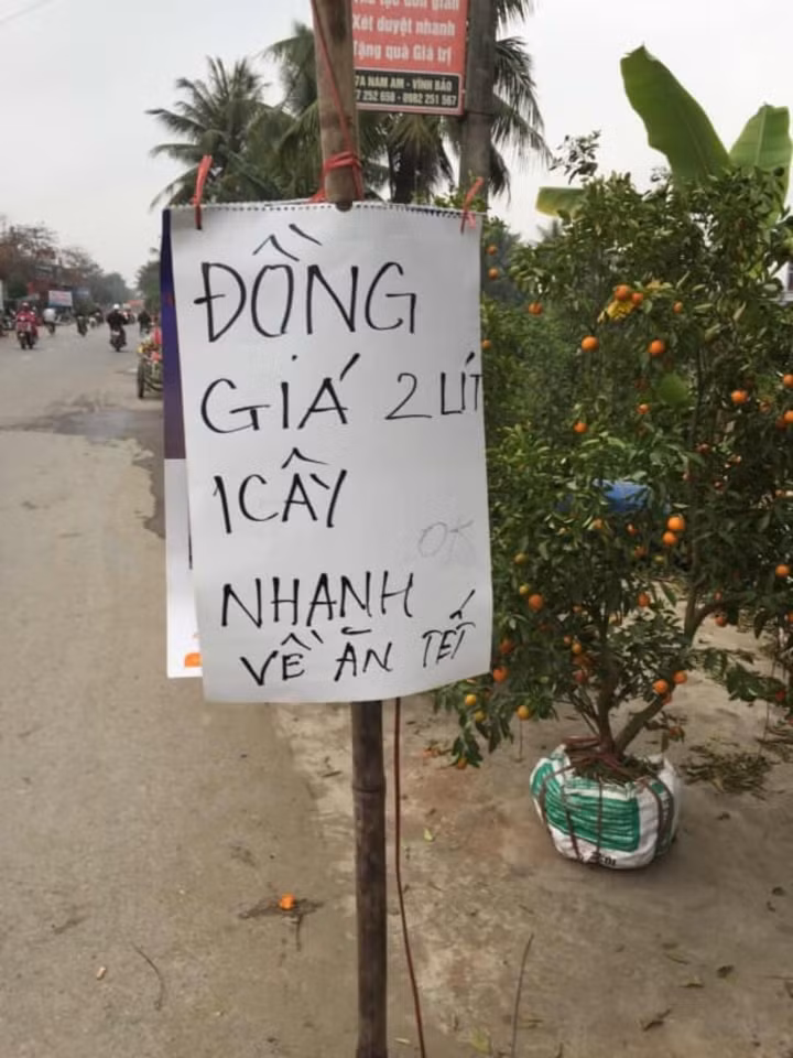 Hết xả hàng quần áo, nhiều tiểu thương còn "xả" luôn cây cảnh dịp cận Tết. 2 "lít" 1 cây, bà con chốt đơn nhanh để con về quê ăn Tết.