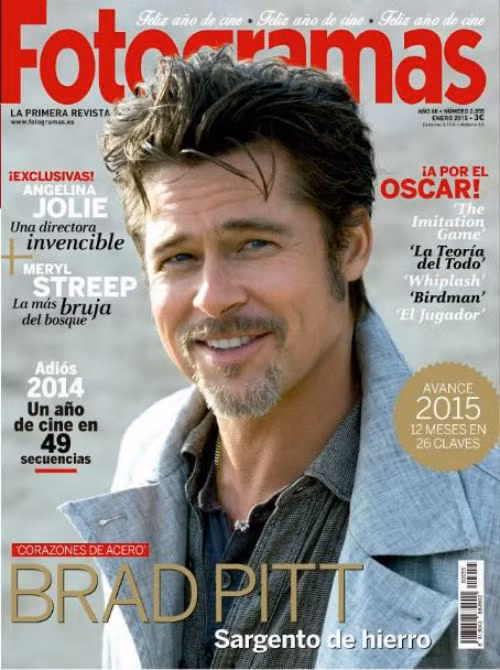 Nụ cười điển trai hút hồn phái đẹp của Brad Pitt.