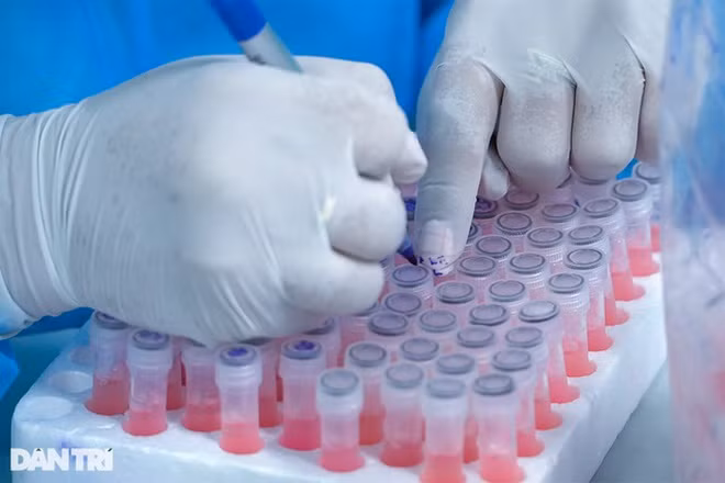 Nguy cơ xâm nhập biến chủng Omicron vào Việt Nam là rất lớn Nguy co xam nhap bien chung Omicron vao Viet Nam la rat lon