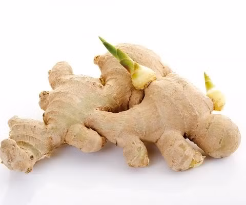 Cách làm món “thần dược” này rất đơn giản: Gừng rửa sạch, thái thành từng lát mỏng.