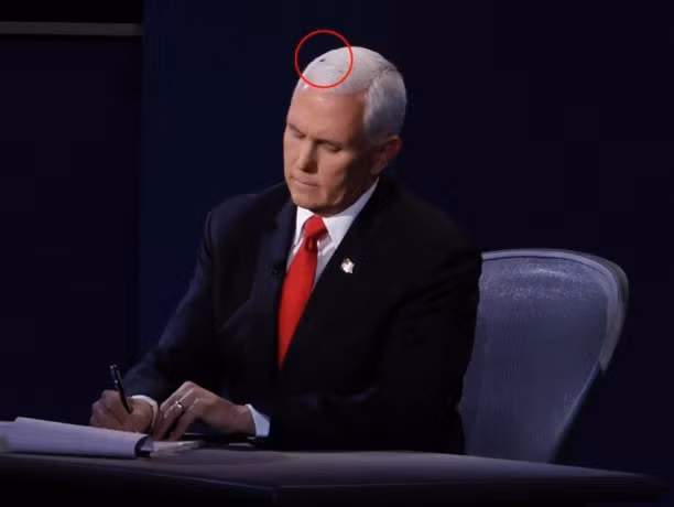 Con ruồi đậu trên mái tóc màu bạch kim của Phó tổng thống Pence suốt hơn 2 phút và dường như đang chăm chú lắng nghe cuộc tranh luận căng thẳng.