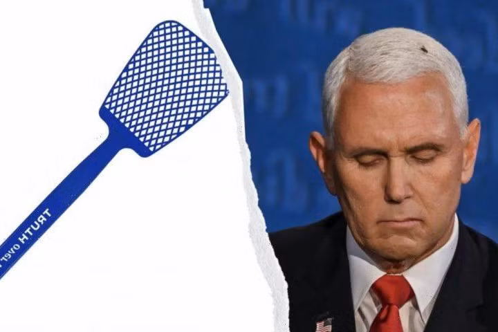 Ngay sau đó, cửa hàng bán sản phẩm ủng hộ chiến dịch cho ông Biden bắt đầu rao bán vỉ đập ruồi. Chiếc vỉ này in dòng chữ "Truth over flies" (Tạm dịch: Sự thật chết ruồi) ở tay cầm và có giá 10 USD.