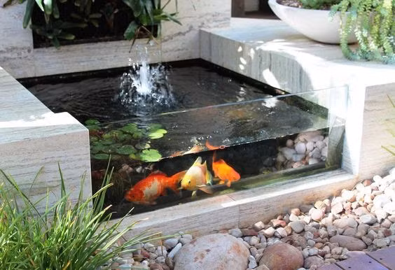 Phong thủy bể cá cảnh ngoài trời, cách đặt bể cá ngoài sân hay xây hồ cá, ao cá sau nhà hiện nay được nhiều người ưa chuộng. Tuy nhiên cần tránh việc đào ao ở các phía bên Đông và bên Tây của ngôi nhà bởi vị trí này theo phong thủy không tốt sẽ dẫn đến những điềm không tốt về sức khỏe cho gia chủ.