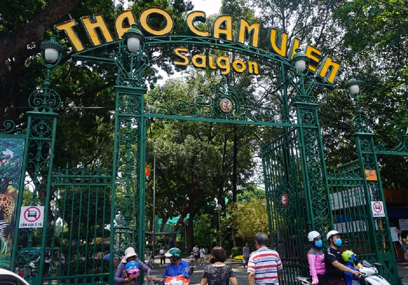 Sau đó, phượt thủ gấu mèo Bắc Mỹ này đã được những nhân viên cứu hộ đón về chăm sóc tại nhà mới Thảo Cầm Viên.