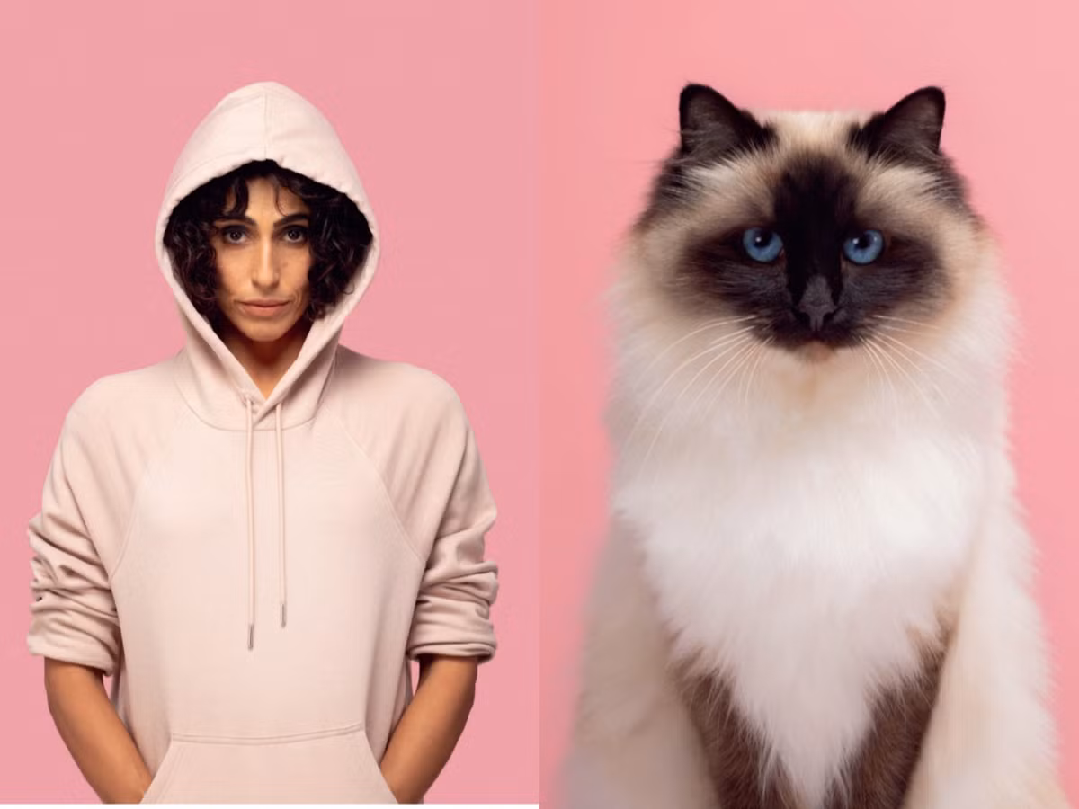 Cô mèo sang chảnh này là phiên bản nhiều lông của cô chủ mặc áo hoodie bên cạnh.