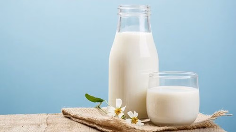 Sữa nguyên chất Ai cũng biết sữa là đồ uống rất tốt cho sức khỏe. Trong sữa chứa nhiều canxi giúp xương khỏe, tái tạo làn da, giúp làn da mịn màng và tươi sáng hơn. Tuy nhiên, sữa nguyên chất lại chứa rất nhiều chất béo. Bạn nên dùng sữa tách kem, ít đường hay không đường để giúp giảm cân hiệu quả hơn.