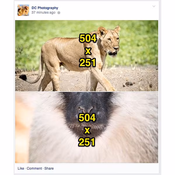 Cac kich co anh ly tuong tren Facebook-Hinh-11